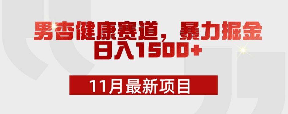 11月最新项目，男杏健康赛道，暴力掘金，日入1500+-巅峰资源网