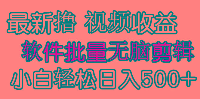 (9569期)发视频撸收益，软件无脑批量剪辑，第一天发第二天就有钱-巅峰资源网
