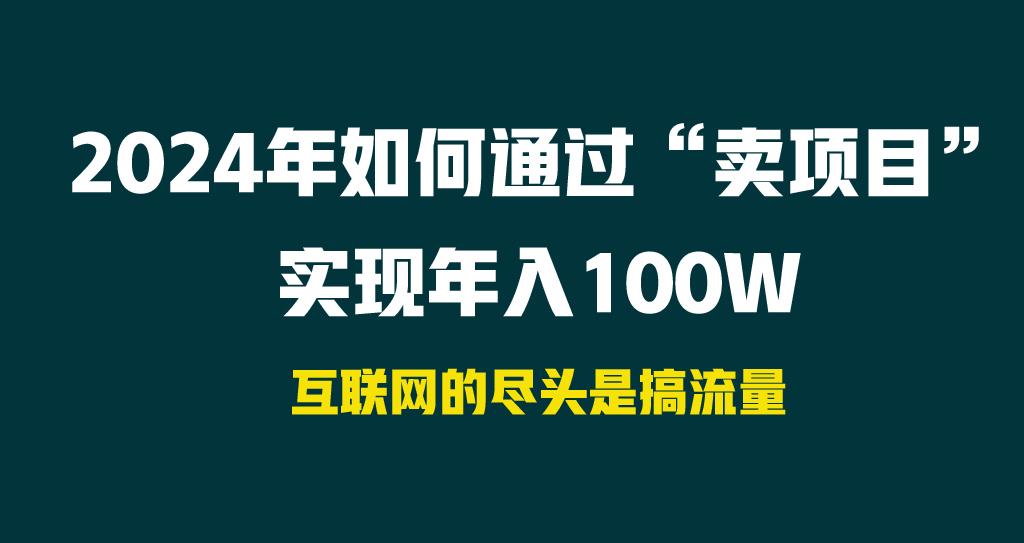2024年如何通过“卖项目”实现年入100W-巅峰资源网