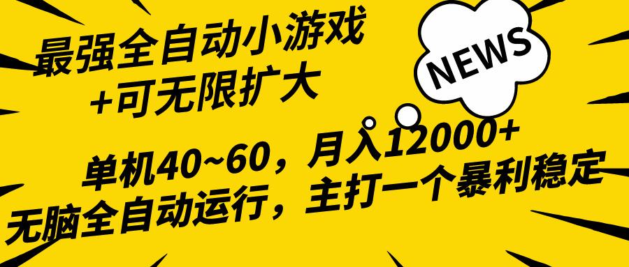 (10046期)2024最新全网独家小游戏全自动，单机40~60,稳定躺赚，小白都能月入过万-巅峰资源网