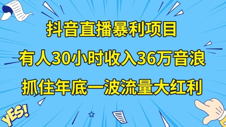 抖音直播暴利项目，有人30小时收入36万音浪，公司宣传片年会视频制作，抓住年底一波流量大红利【揭秘】-巅峰资源网