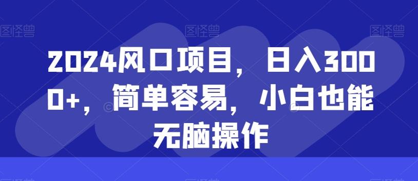 2024风口项目，日入3000+，简单容易，小白也能无脑操作-巅峰资源网