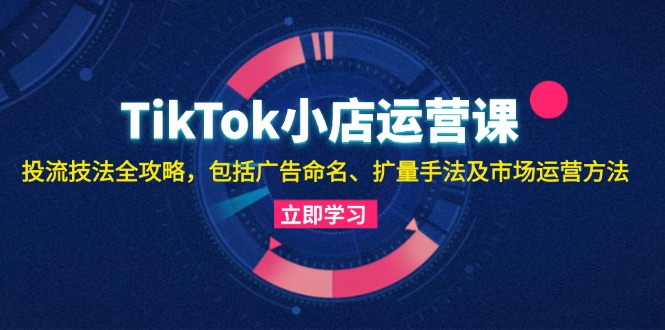 TikTok小店运营课：投流技法全攻略，包括广告命名 扩量手法及市场运营方法-巅峰资源网