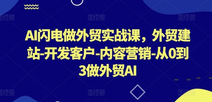 AI闪电做外贸实战课，​外贸建站-开发客户-内容营销-从0到3做外贸AI-巅峰资源网