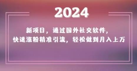 2024新项目，通过国外社交软件，快速涨粉精准引流，轻松做到月入上万【揭秘】-巅峰资源网