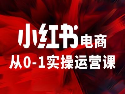 小红书电商从0-1实操运营课，让你从小白到精英-巅峰资源网