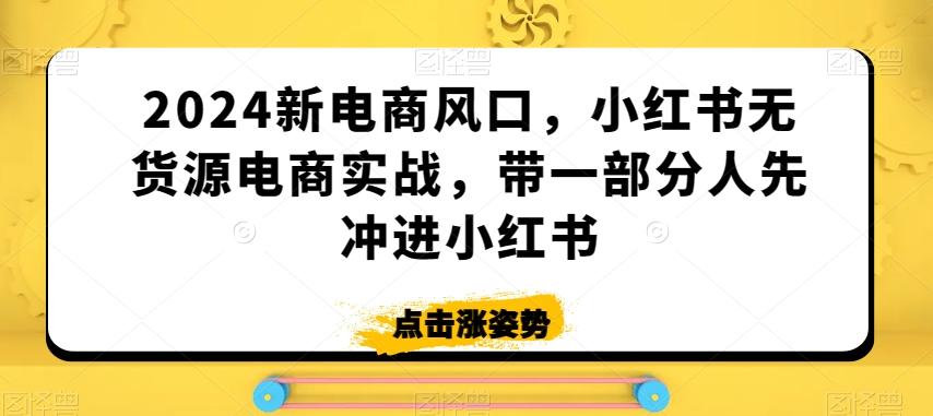 2024新电商风口，小红书无货源电商实战，带一部分人先冲进小红书-巅峰资源网