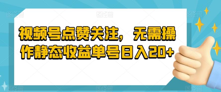 视频号点赞关注，无需操作静态收益单号日入20+-巅峰资源网
