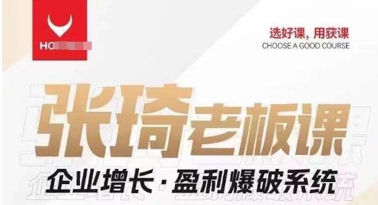 【组合课】张琦张琦老板企业增长·盈利爆破系统（直播专享）-巅峰资源网
