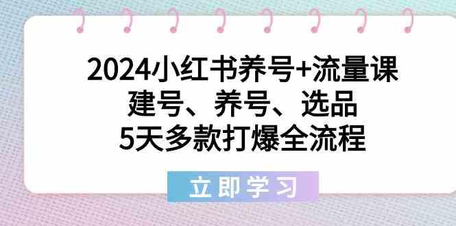 2024小红书养号+流量课：建号、养号、选品，5天多款打爆全流程-巅峰资源网