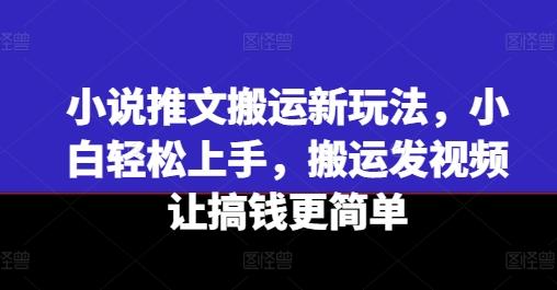 小说推文搬运新玩法，小白轻松上手，搬运发视频让搞钱更简单-巅峰资源网