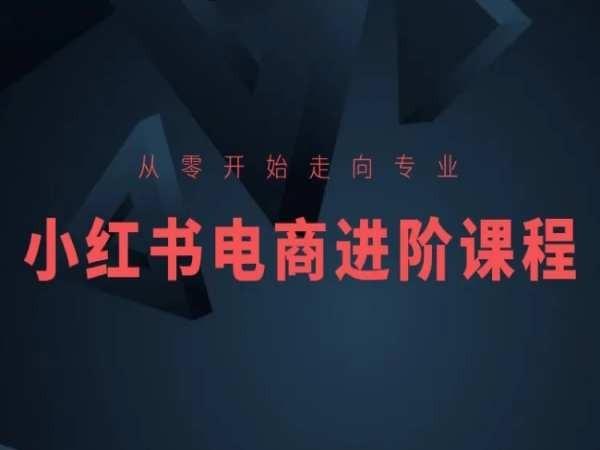 从零开始走向专业，小红书电商进阶课程-巅峰资源网