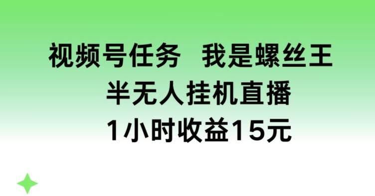 视频号任务，我是螺丝王， 半无人挂机1小时收益15元【揭秘】-巅峰资源网