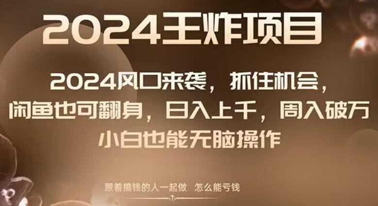 2024风口项目来袭，抓住机会，闲鱼也可翻身，日入上千，周入破万，小白也能无脑操作-巅峰资源网