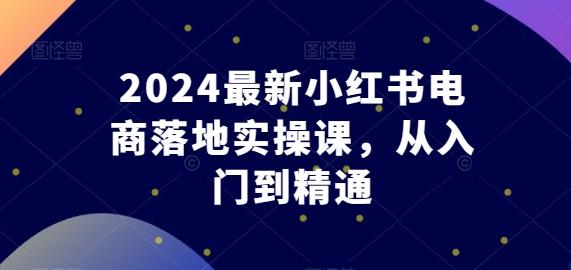 2024最新小红书电商落地实操课，从入门到精通-巅峰资源网