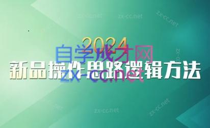 云创·2024新品操作思路逻辑方法-巅峰资源网