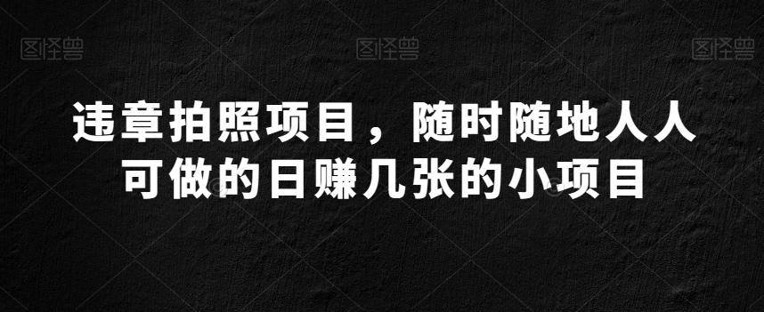 违章拍照项目，随时随地人人可做的日赚几张的小项目-巅峰资源网