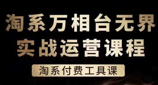 淘系万相台无界实战运营课，淘系付费工具课-巅峰资源网