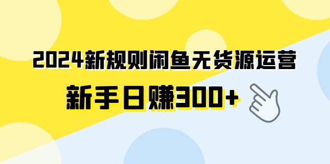 (9522期)2024新规则闲鱼无货源运营新手日赚300+-巅峰资源网