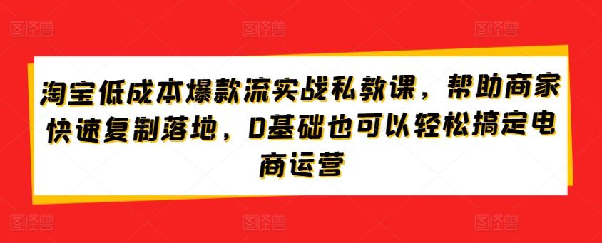 淘宝低成本爆款流实战私教课，帮助商家快速复制落地，0基础也可以轻松搞定电商运营-巅峰资源网