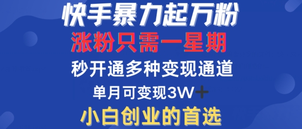 快手暴力起万粉，涨粉只需一星期，多种变现模式，直接秒开万合，单月变现过W【揭秘】-巅峰资源网