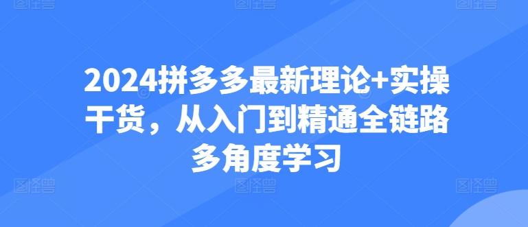 2024拼多多最新理论+实操干货，从入门到精通全链路多角度学习-巅峰资源网