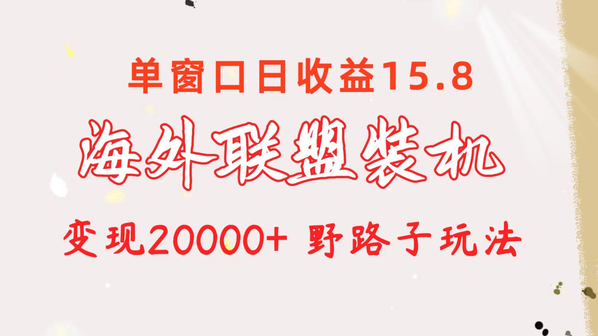 海外联盟装机 单窗口日收益15.8  变现20000+ 野路子玩法-巅峰资源网