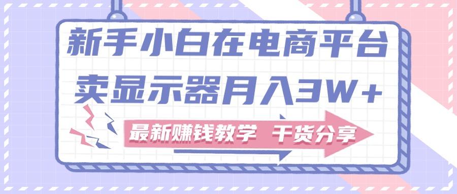新手小白如何做到在电商平台卖显示器月入3W+，最新赚钱教学干货分享-巅峰资源网