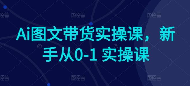 Ai图文带货实操课，新手从0-1 实操课-巅峰资源网
