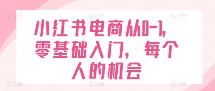 小红书电商从0-1，零基础入门，每个人的机会-巅峰资源网