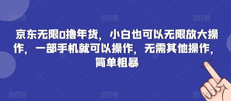 京东无限0撸年货，小白也可以无限放大操作，一部手机就可以操作，无需其他操作，简单粗暴-巅峰资源网