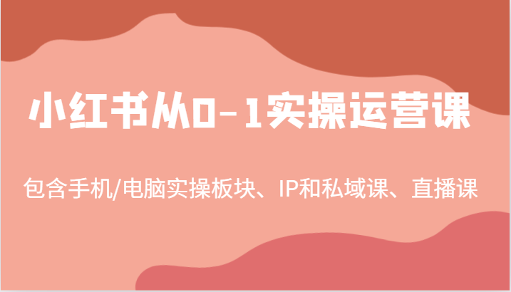 小红书从0-1实操运营课，包含手机/电脑实操板块、IP和私域课、直播课(97节)-巅峰资源网