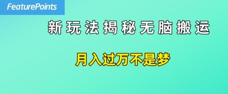 简单操作，每天50美元收入，搬运就是赚钱的秘诀【揭秘】-巅峰资源网