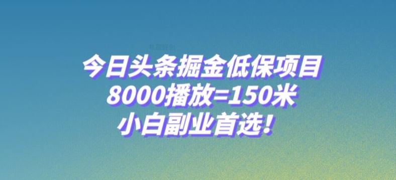 今日头条掘金低保项目，8000播放=150米，小白副业首选【揭秘】-巅峰资源网