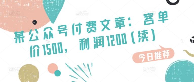 某公众号付费文章：客单价1500，利润1200(续)，市场几乎可以说是空白的-巅峰资源网