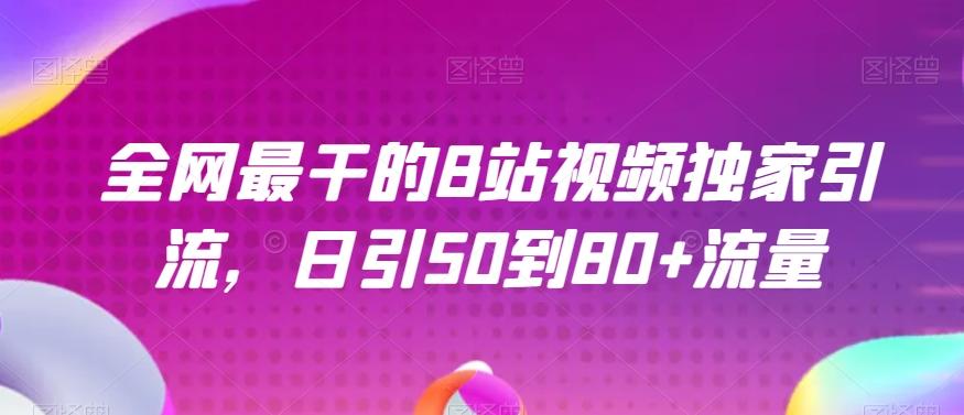 全网最干的B站视频独家引流，日引50到80+流量【揭秘】-巅峰资源网