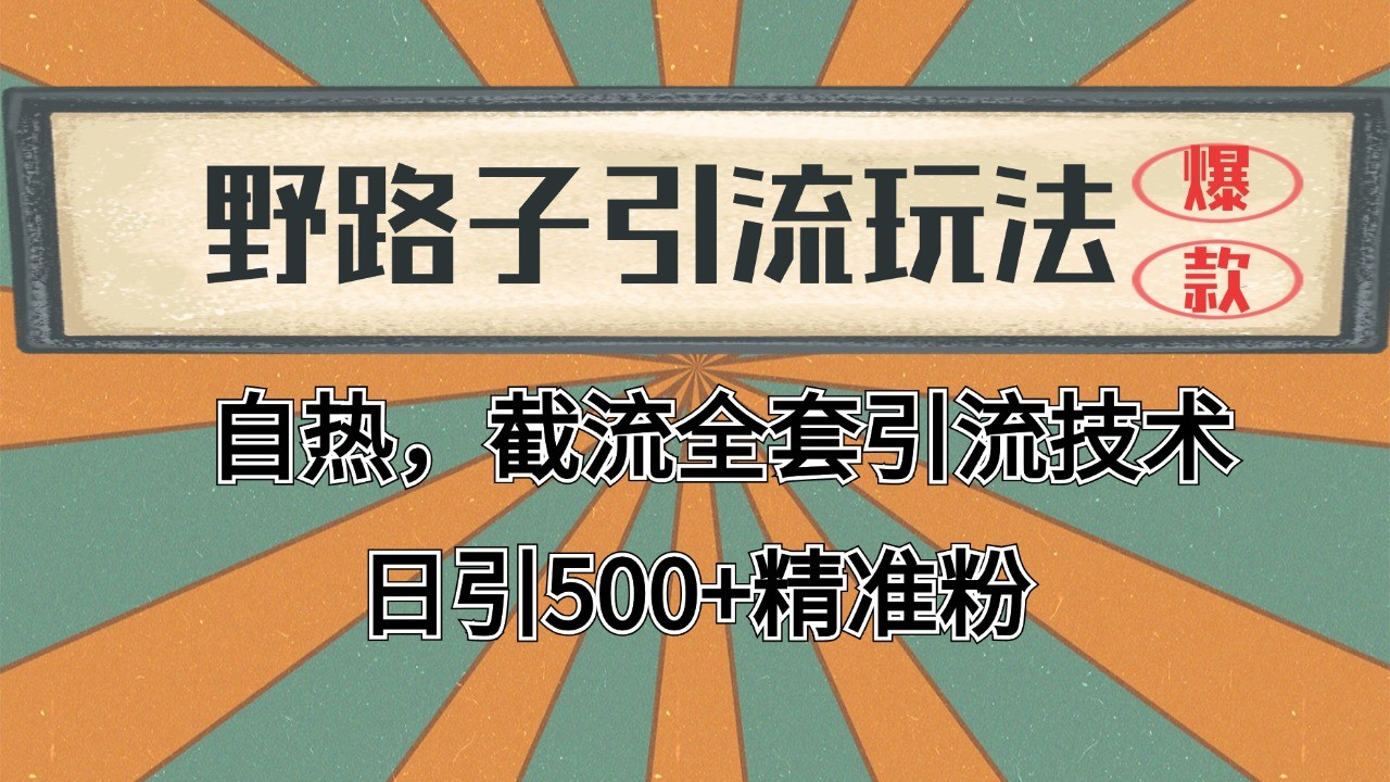 抖音小红书视频号全平台引流打法，全自动引流日引2000+精准客户-巅峰资源网
