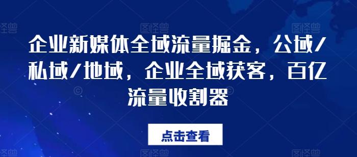 企业新媒体全域流量掘金，公域/私域/地域，企业全域获客，百亿流量收割器-巅峰资源网