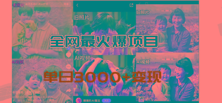 全网爆火的AI让老照片动起来教程，蹭热点日赚3000+，内含免费工具一键…-巅峰资源网
