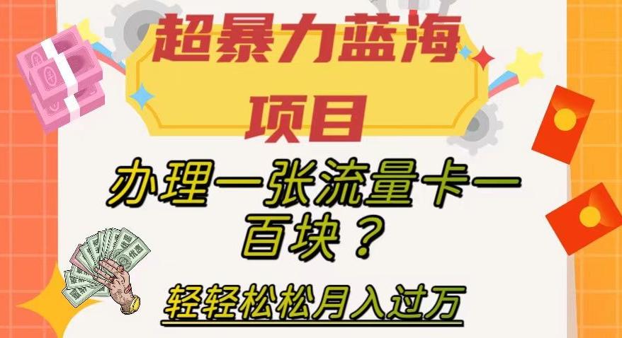 超暴力蓝海项目，办理一张流量卡一百块？轻轻松松月入过万，保姆级教程【揭秘】-巅峰资源网