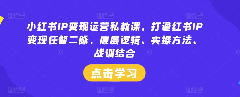 小红书IP变现运营私教课，打通红书IP变现任督二脉，底层逻辑、实操方法、战训结合-巅峰资源网