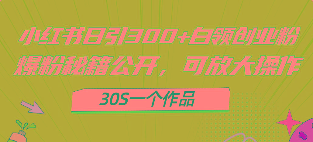 小红书日引300+高质白领创业粉，可放大操作，爆粉秘籍！30s一个作品-巅峰资源网