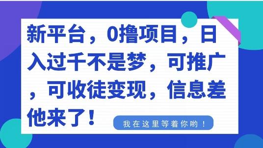 不要再花冤枉钱了，0撸项目，每天坚持，稳定1000+-巅峰资源网