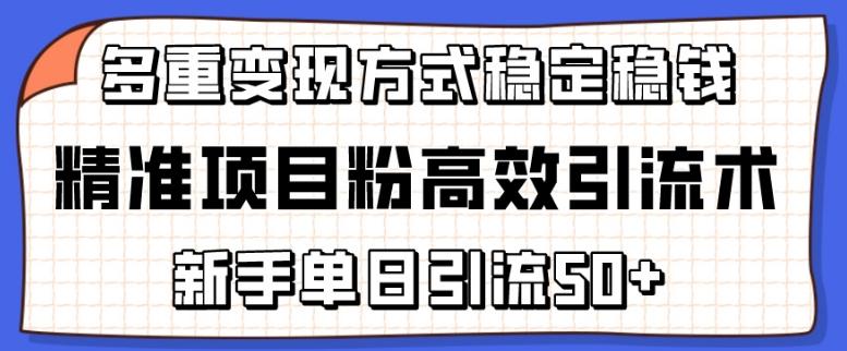 精准项目粉高效引流术，新手单日引流50+，多重变现方式稳定赚钱【揭秘】-巅峰资源网