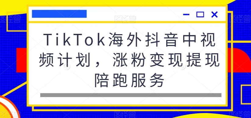 TikTok海外抖音中视频计划，涨粉变现提现陪跑服务-巅峰资源网