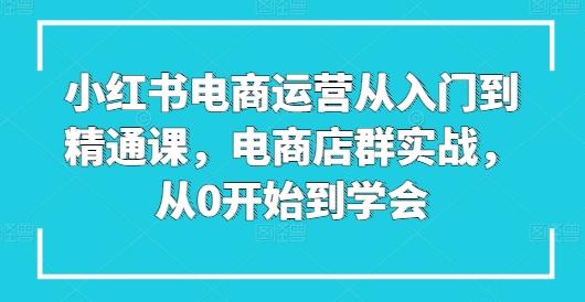 小红书电商运营从入门到精通课，电商店群实战，从0开始到学会-巅峰资源网
