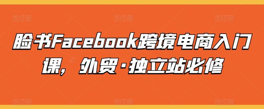 脸书Facebook跨境电商入门课，外贸·独立站必修-巅峰资源网