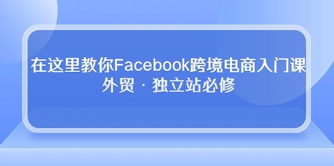 在这里教你Facebook跨境电商入门课，外贸·独立站必修-巅峰资源网