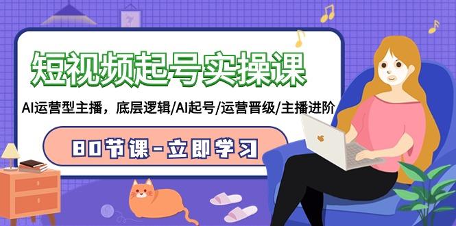 (9470期)短视频起号实操课，AI运营型主播，底层逻辑/AI起号/运营晋级/主播进阶/80节-巅峰资源网