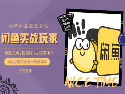 手把手教你0到1系统玩转闲鱼变现，爆款思维/超级曝光/超高转化-巅峰资源网